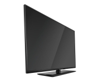 Philips 22PFK4209 FullHD/100Hz/USB/HDMI/DVB-T/C - 238981 - zdjęcie 4